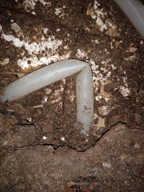 洛隆堵点精准查找